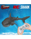 R/c Shark